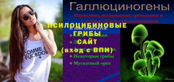 Альфа ПВП Абаза