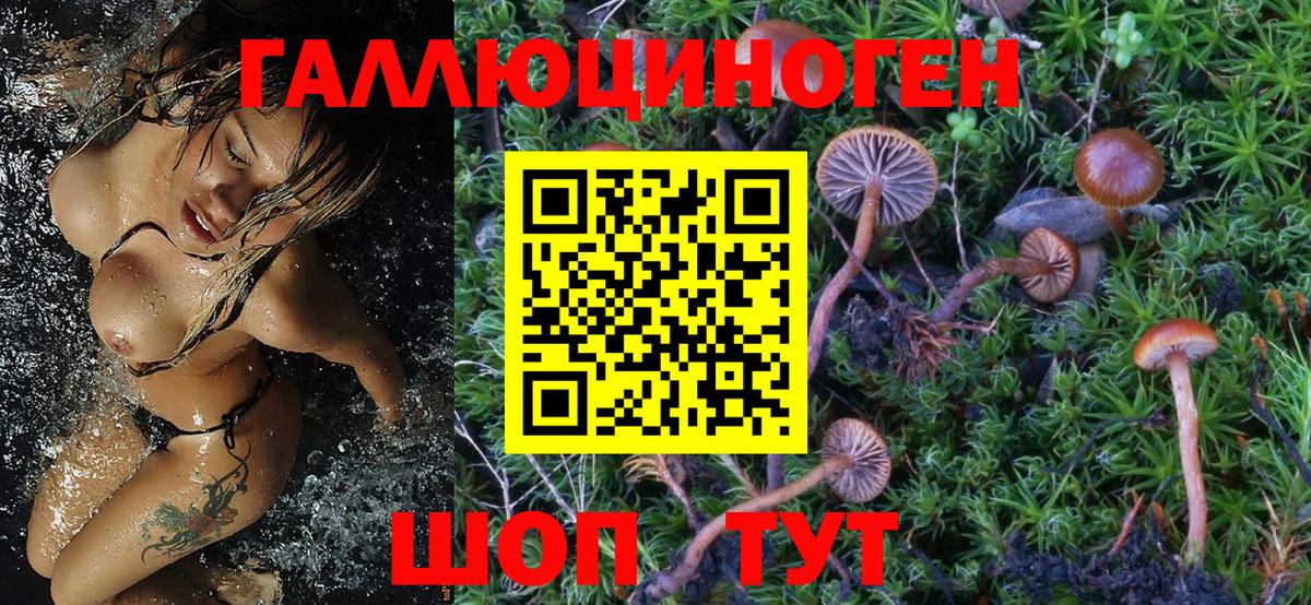 Псилоцибиновые грибы мицелий Киржач