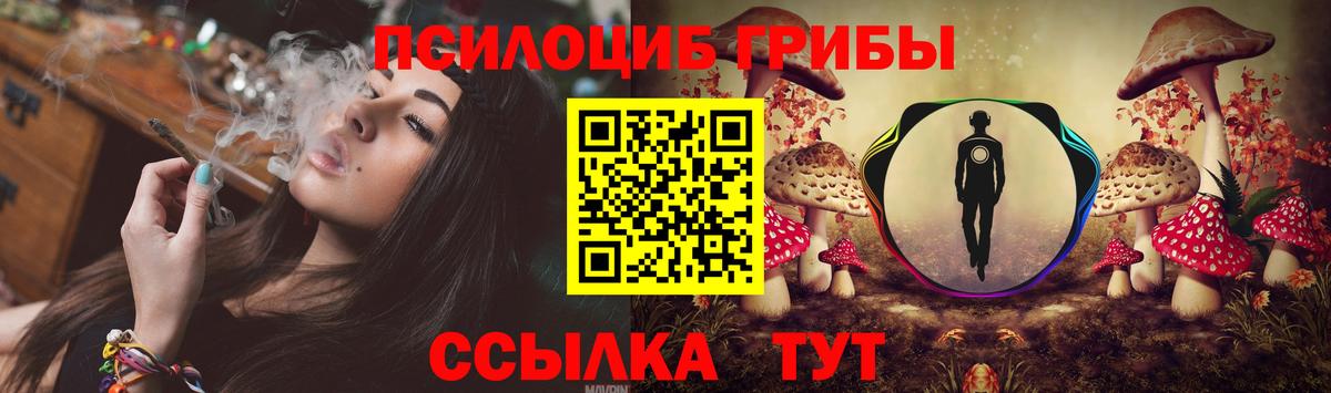 Псилоцибиновые грибы Psilocybe  Вход с VPN  Киржач 